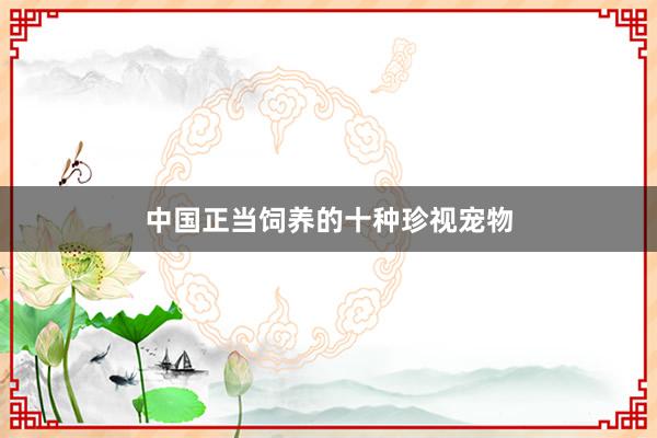 中国正当饲养的十种珍视宠物
