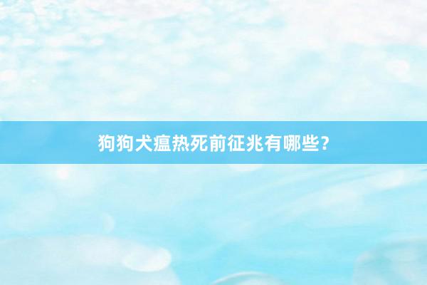狗狗犬瘟热死前征兆有哪些？